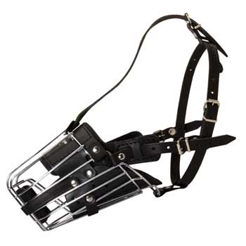 Full Padded Cage Dog Muzzle for English Pointer