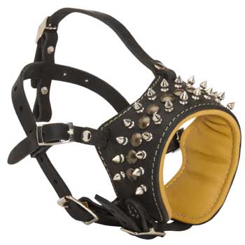 Walking Training Designer Black Dog Muzzle for English Pointer