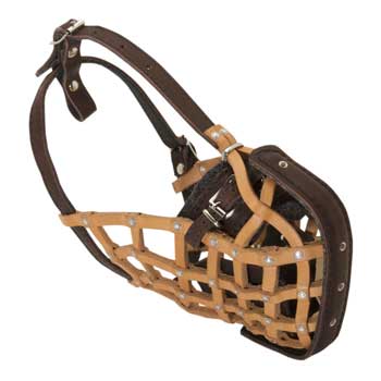 English Pointer Muzzle Leather Mesh for Walking and Training