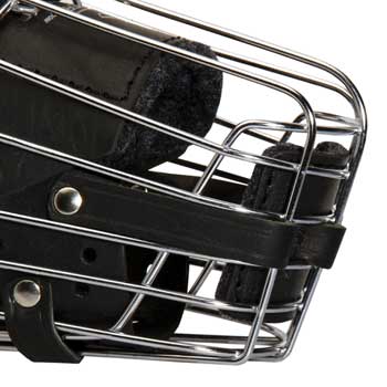 Dog Muzzle for English Pointer Training, Patrolling, Traveling