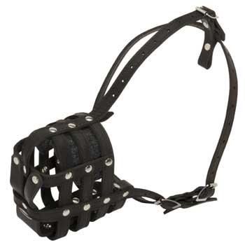 Leather Cage English Pointer Muzzle Padded