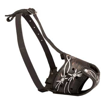 Training Muzzle for English Pointer