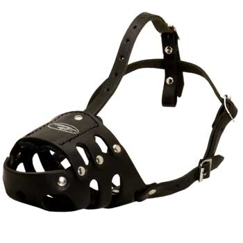 Anti Barking English Pointer Muzzle Leather for Walking Dog