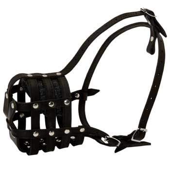 English Pointer Muzzle Leather Cage for Daily Walking