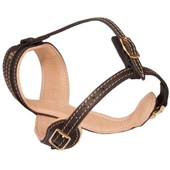 English Pointer Muzzle Leather Easy Adjustable with Quick Release Buckle