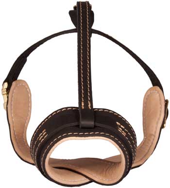 No Barking Light Weight English Pointer Muzzle Leather for Dog Training