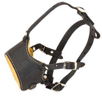 Leather English Pointer Muzzle for No Bark Training Walking