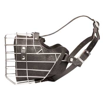 Leather Basket English Pointer Muzzle