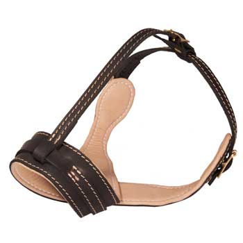 Leather English Pointer Muzzle Padded with Nappa Leather