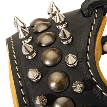 Walking Training Designer Black Dog Muzzle for English Pointer