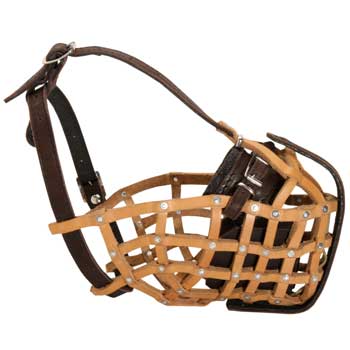 Basket English Pointer Muzzle for Military and Police Work