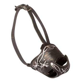 Anti-Barking Muzzle for English Pointer
