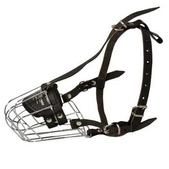 Wire Cage Muzzle for Training English Pointer Working Dogs