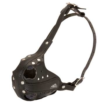 Sof Leather padded English Pointer Muzzle